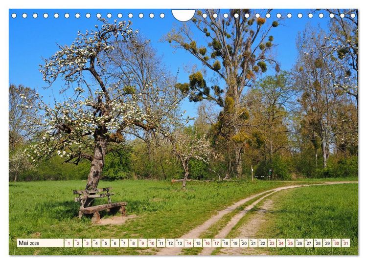 Produktbild: Vom Ried an die Bergstra&szlig;e, durch den Odenwald ins Neckartal (Wandkalender 2026 DIN A4 quer), CALVENDO Monatskalender