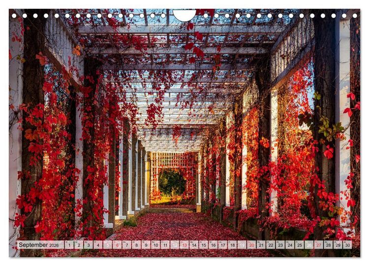 Produktbild: Romantisches Magdeburg (Wandkalender 2026 DIN A4 quer), CALVENDO Monatskalender