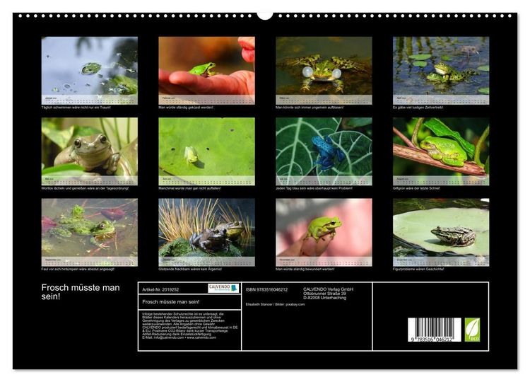 Produktbild: Frosch m&uuml;sste man sein! (hochwertiger Premium Wandkalender 2026 DIN A2 quer), Kunstdruck in Hochglanz