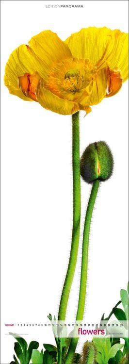 Produktbild: Flowers