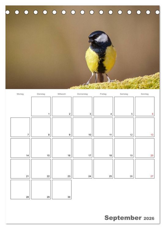 Produktbild: V&ouml;gel im heimischen Garten (Tischkalender 2026 DIN A5 hoch), CALVENDO Monatskalender