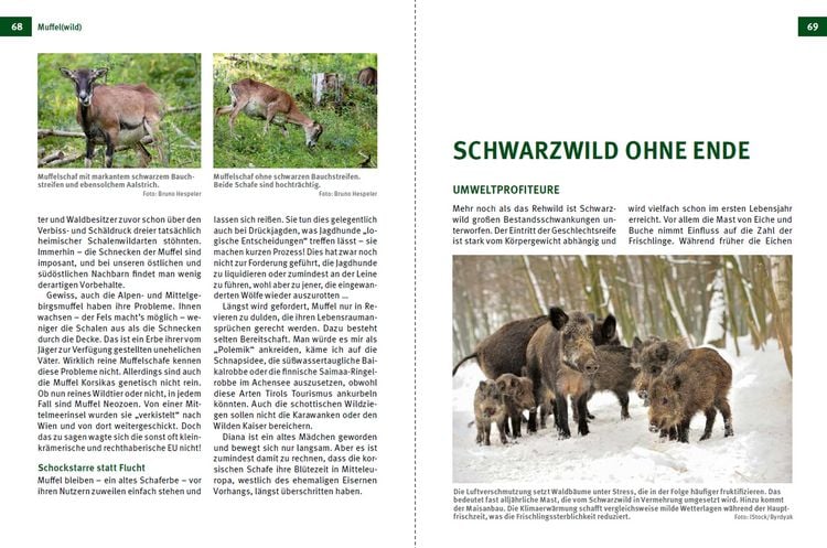 Produktbild: Die Jagd