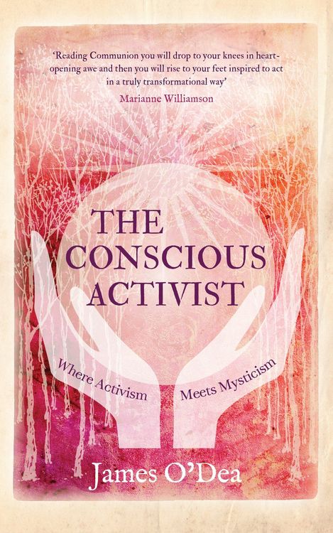 Produktbild: The Conscious Activist