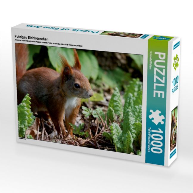 Produktbild: Putziges Eichh&ouml;rnchen (Puzzle)