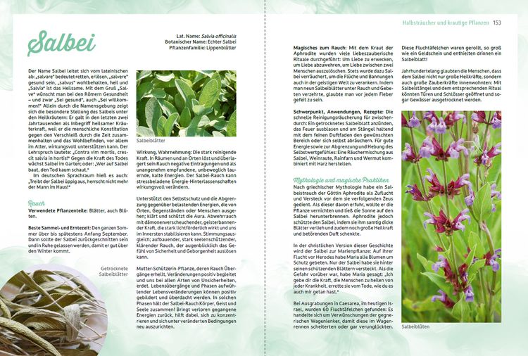 Produktbild: R&auml;uchern im Einklang mit der Natur