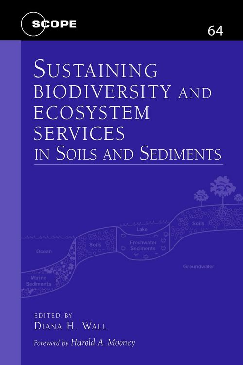 Produktbild: Sustaining Biodiversity and Ecosystem Services in Soils and Sediments