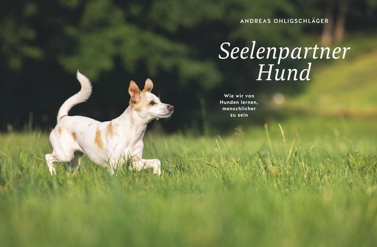 Produktbild: Seelenpartner Hund