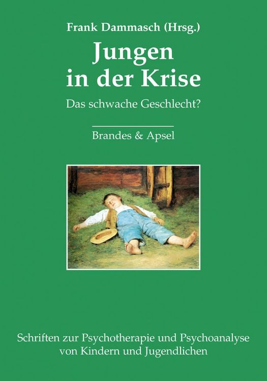 Bild vom Artikel Jungen in der Krise vom Autor Frank Dammasch