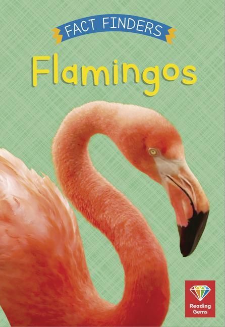 Produktbild: Flamingos