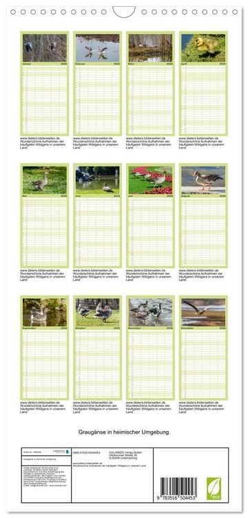Produktbild: Familienplaner 2026 - Graug&auml;nse in heimischer Umgebung mit 5 Spalten (Wandkalender, 21 x 45 cm) CALVENDO