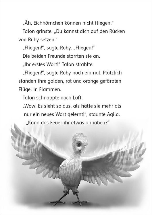 Der letzte Feuerfalke und die Kristallhöhlen (Band 2)