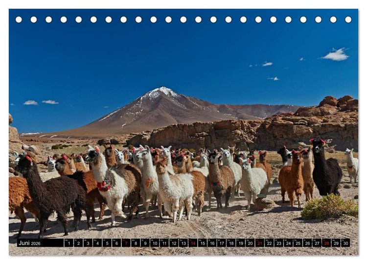 Produktbild: Bolivien Andenlandschaften (Tischkalender 2026 DIN A5 quer), CALVENDO Monatskalender