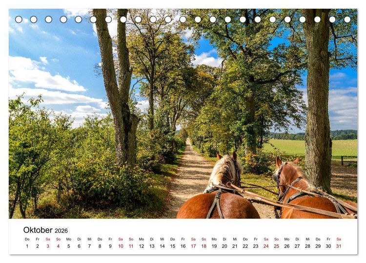 Produktbild: Masuren 2026 - Land der 1000 Seen (Tischkalender 2026 DIN A5 quer), CALVENDO Monatskalender