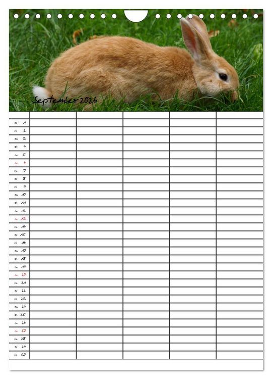 Produktbild: Meerschweinchen und Kaninchen Familienplaner (Wandkalender 2026 DIN A4 hoch), CALVENDO Monatskalender