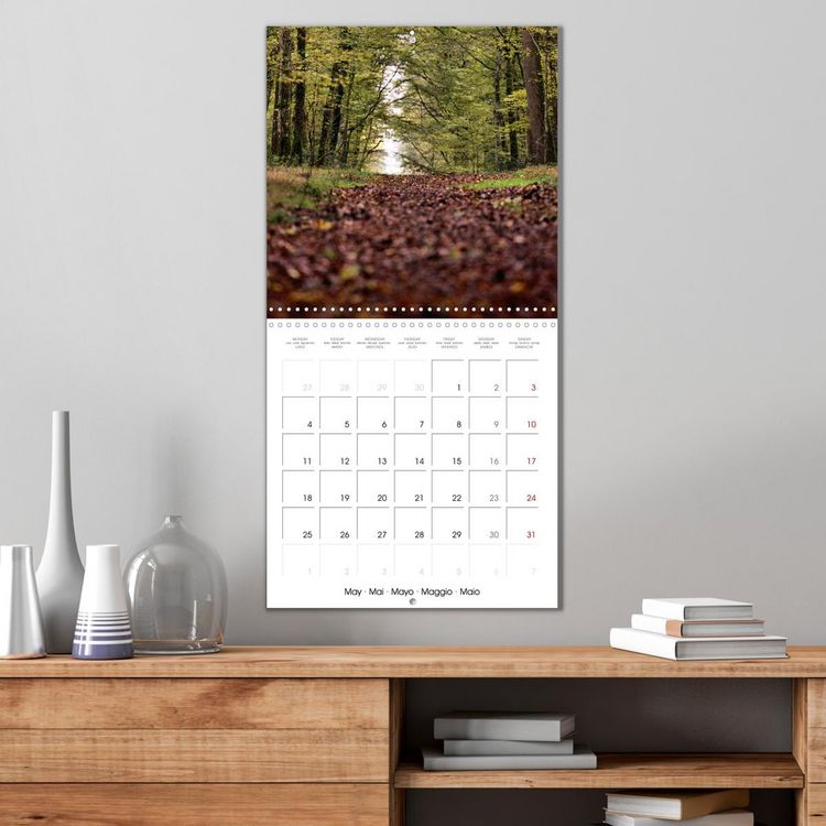Produktbild: Les couleurs de la Vienne (Calendrier mural carr&eacute; 2026 30x30 cm) Calendrier double avec une page pour vos prises de notes