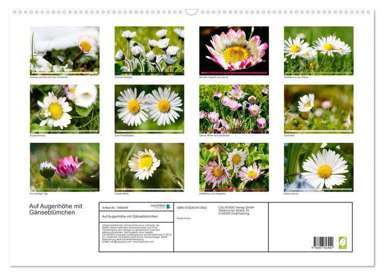 Produktbild: Auf Augenh&ouml;he mit G&auml;nsebl&uuml;mchen (Wandkalender 2026 DIN A2 quer), CALVENDO Monatskalender