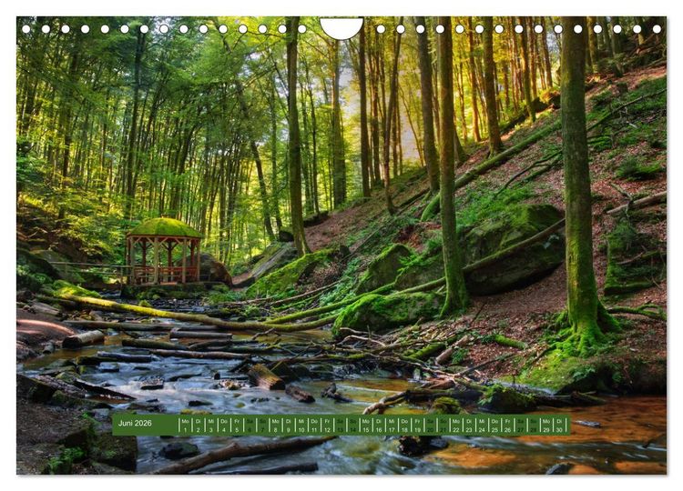 Produktbild: Magischer Pf&auml;lzer Wald (Wandkalender 2026 DIN A4 quer), CALVENDO Monatskalender