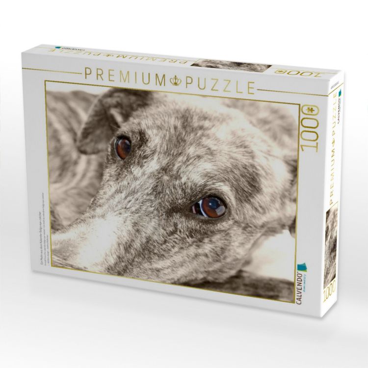 Produktbild: CALVENDO Puzzle Ein Motiv aus dem Kalender Galgo eye-catcher | 1000 Teile Lege-Gr&ouml;&szlig;e 64x48cm Foto-Puzzle f&uuml;r gl&uuml;ckliche Stunden