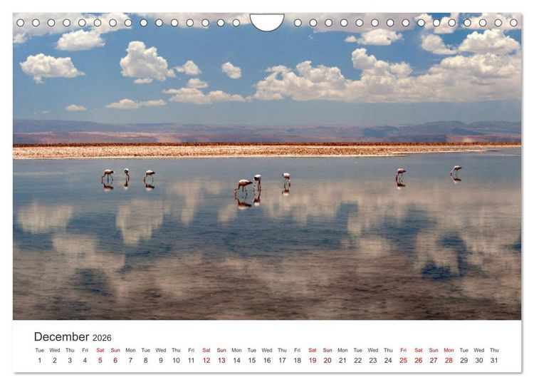 Produktbild: A quick trip to Argentina and Chile (Wall Calendar 2026 DIN A4 landscape), CALVENDO 12 Month Wall Calendar