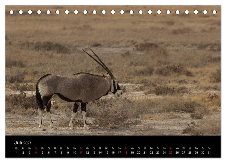 Produktbild: Wundersch&ouml;nes Namibia (Tischkalender 2027 DIN A5 quer), CALVENDO Monatskalender