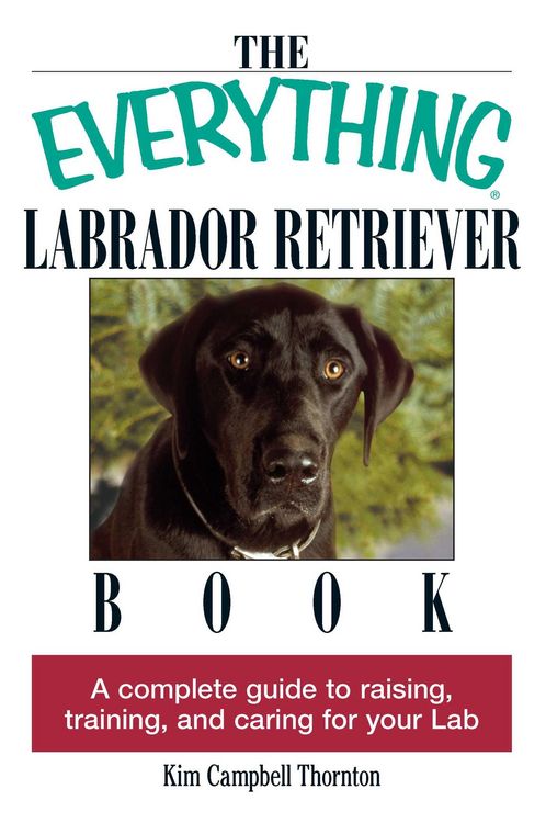 Produktbild: The Everything Labrador Retriever Book