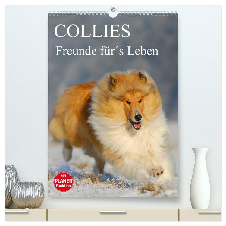 Produktbild: Collies - Freunde f&uuml;r&acute;s Leben (hochwertiger Premium Wandkalender 2026 DIN A2 hoch), Kunstdruck in Hochglanz