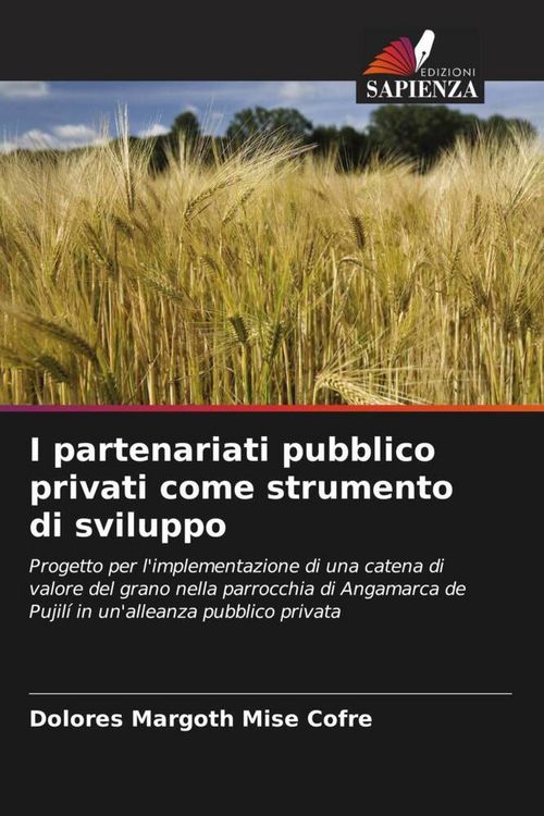 Produktbild: I partenariati pubblico privati come strumento di sviluppo
