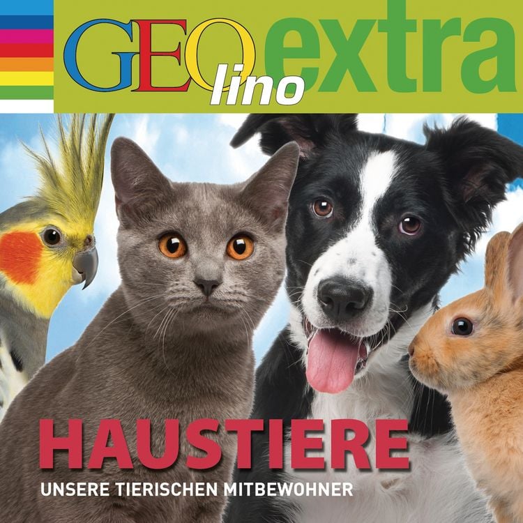 Produktbild: Haustiere - Unsere tierischen Mitbewohner