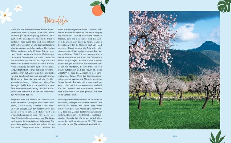 Produktbild: Palma de Mallorca &ndash; Das Kochbuch