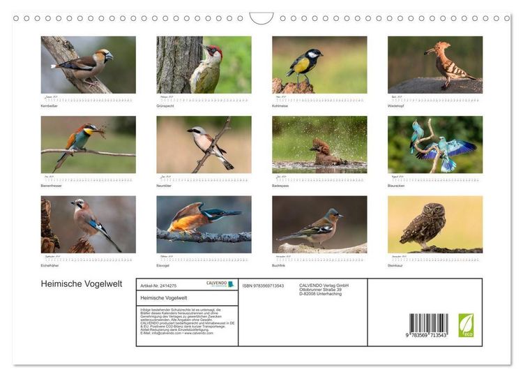 Produktbild: Heimische Vogelwelt (Wandkalender 2027 DIN A3 quer), CALVENDO Monatskalender
