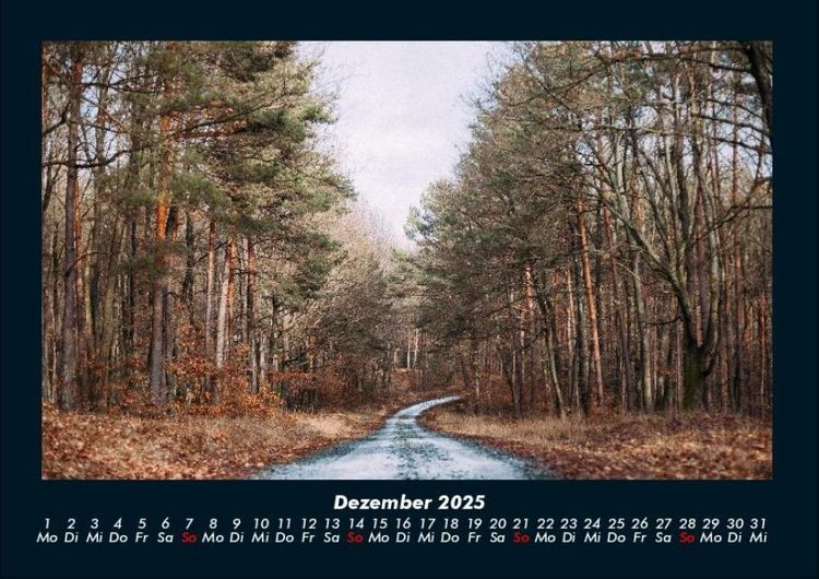 Produktbild: Waldzauber 2025 Fotokalender DIN A4