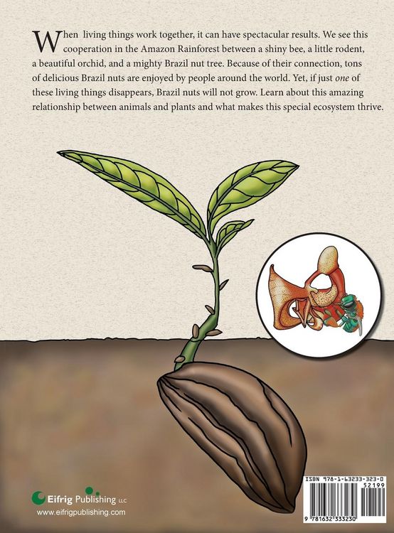 Produktbild: The Rodent, the Bee, and the Brazil Nut Tree