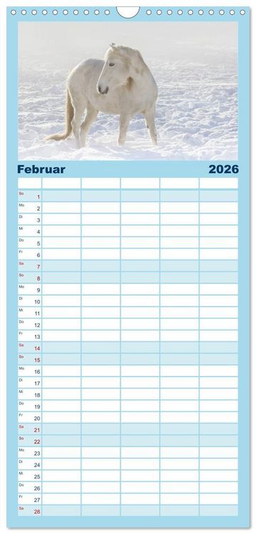Produktbild: Familienplaner 2026 - Wei&szlig;e Pferde der Camargue in Bayern mit 5 Spalten (Wandkalender, 21 x 45 cm) CALVENDO