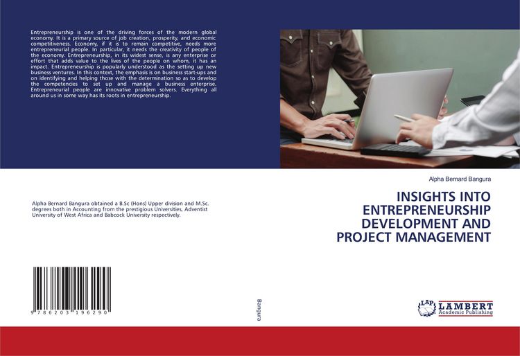 Produktbild: Insights Into Entrepreneurship Development and Project Management
