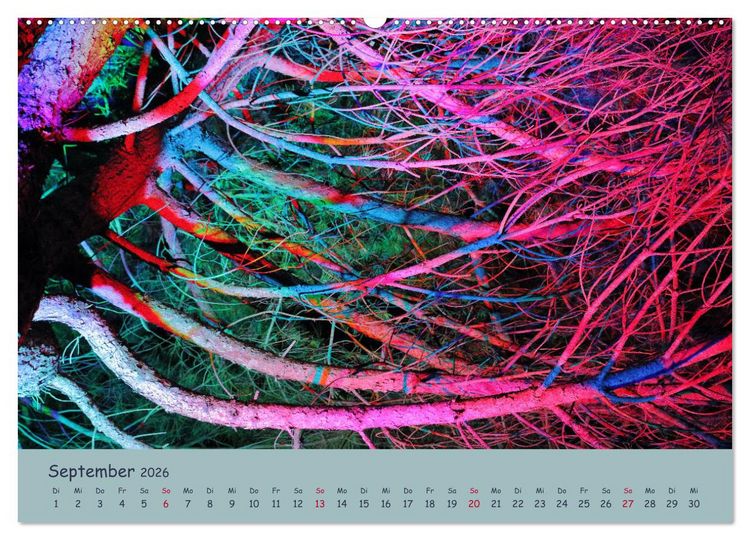 Produktbild: Leuchtfarben (Wandkalender 2026 DIN A2 quer), CALVENDO Monatskalender