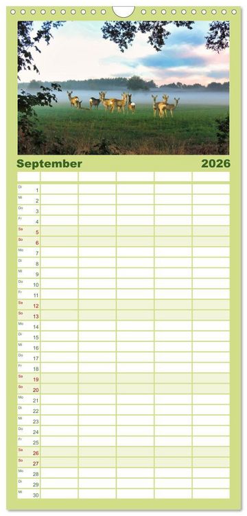 Produktbild: Familienplaner 2026 - Deutsches Jagdwild - Waidmannsheil mit 5 Spalten (Wandkalender, 21 x 45 cm) CALVENDO