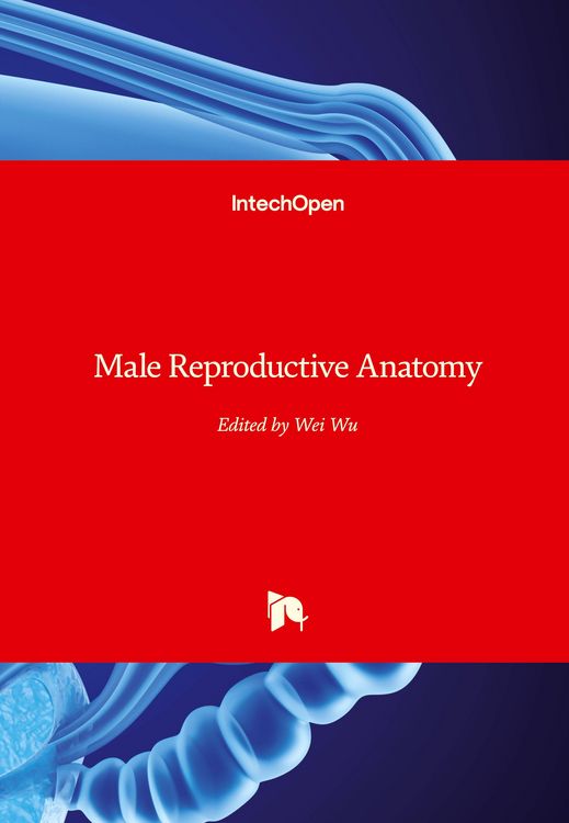 Produktbild: Male Reproductive Anatomy