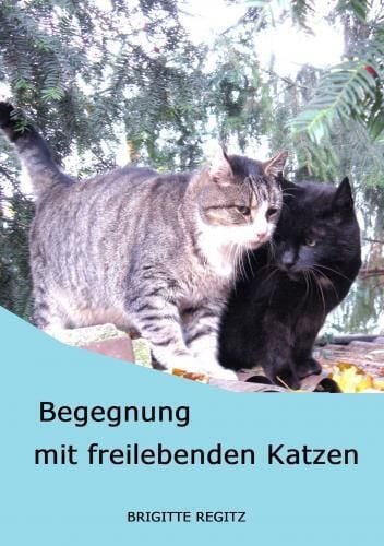 Produktbild: Begegnung mit freilebenden Katzen.