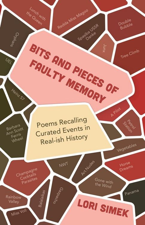 Produktbild: Bits and Pieces Of Faulty Memory