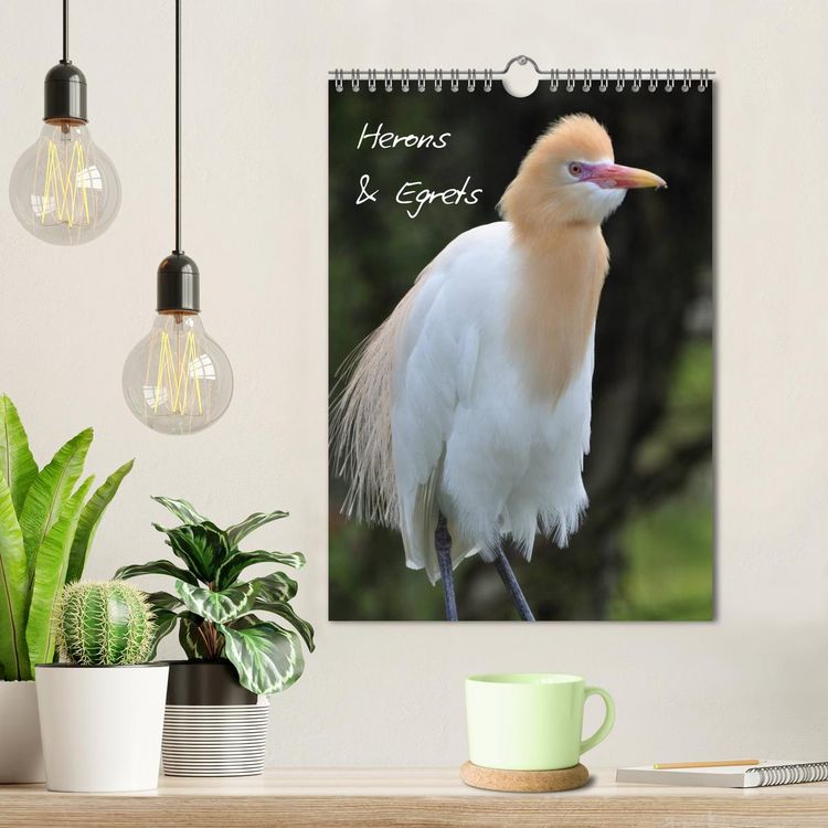 Produktbild: Herons & Egrets (Wall Calendar 2026 DIN A4 portrait), CALVENDO 12 Month Wall Calendar