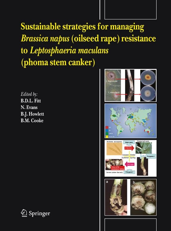 Produktbild: Sustainable strategies for managing Brassica napus (oilseed rape) resistance to Leptosphaeria maculans (phoma stem canker)
