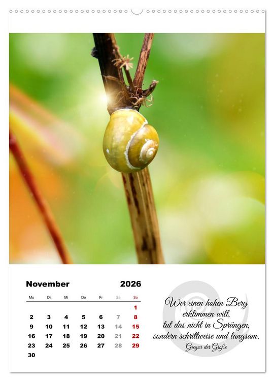 Produktbild: Schnecklein (Wandkalender 2026 DIN A2 hoch), CALVENDO Monatskalender