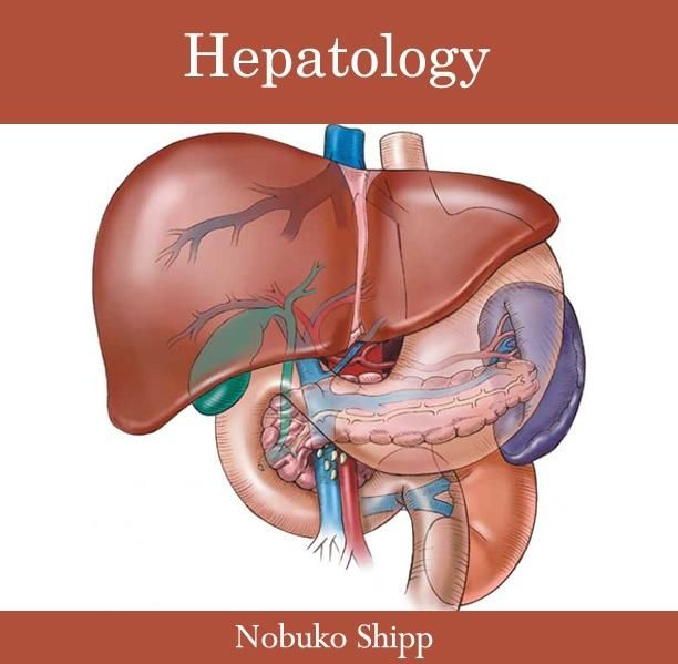 Produktbild: Hepatology
