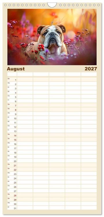 Produktbild: Familienplaner 2027 - Englische Bulldoggen im Bl&uuml;tenmeer mit 5 Spalten (Wandkalender, 21 x 45 cm) CALVENDO