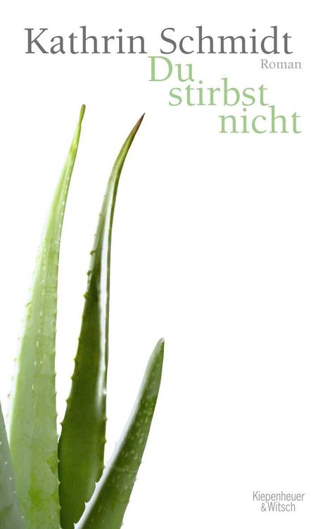Produktbild: Du stirbst nicht