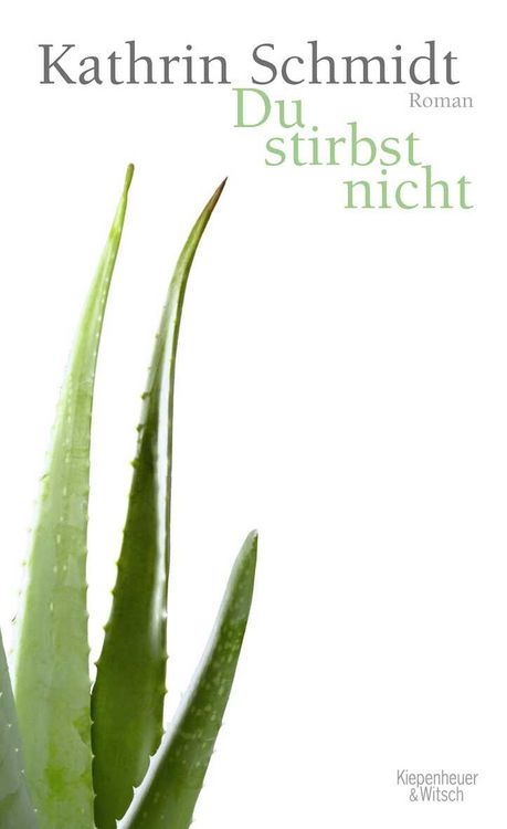 Produktbild: Du stirbst nicht