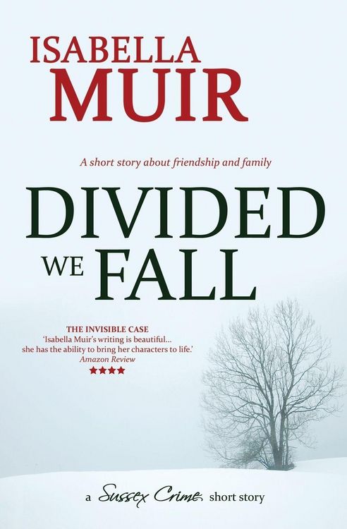 Produktbild: Divided We Fall