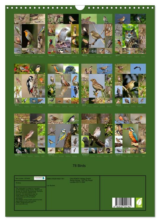 Produktbild: 78 Birds (Wall Calendar 2026 DIN A3 portrait), CALVENDO 12 Month Wall Calendar