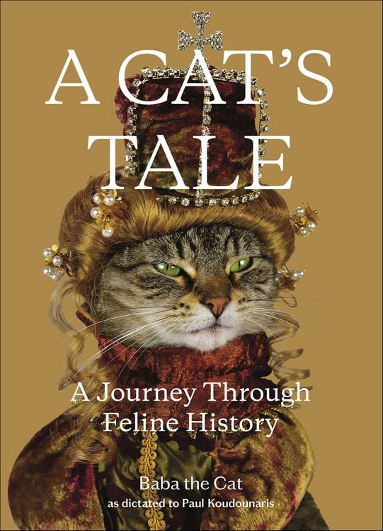 Produktbild: A Cat's Tale