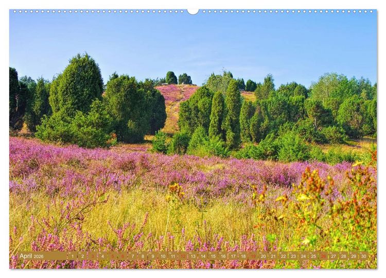 Produktbild: L&uuml;neburger Heide - Wanderung rund um Wilsede und Totengrund (Wandkalender 2026 DIN A2 quer), CALVENDO Monatskalender